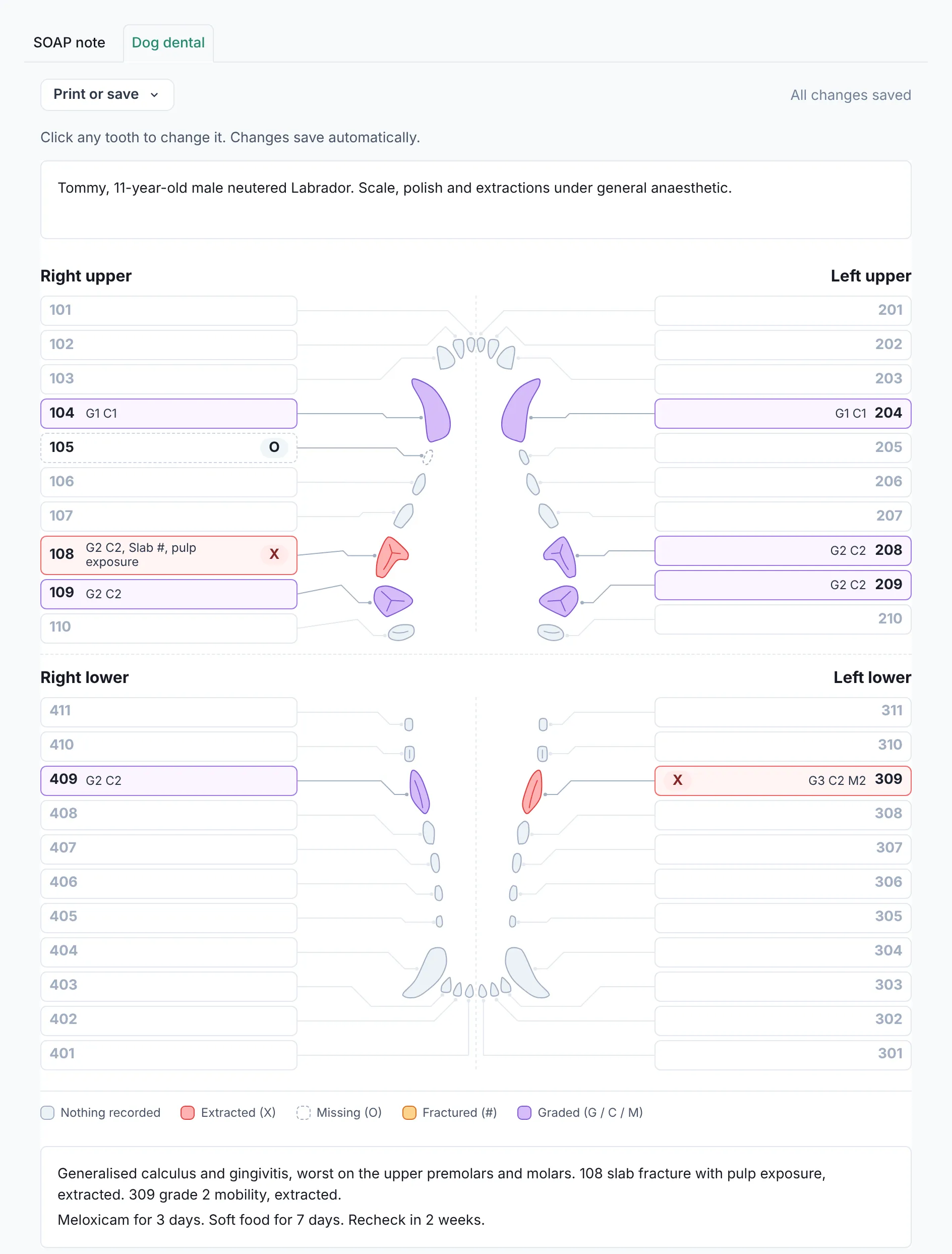 A canine dental chart filled in by VetNotes, with extracted and graded teeth marked